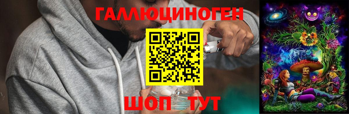 Псилоцибиновые грибы GOLDEN TEACHER  Галлюциногенные грибы Psilocybe  Вход с VPN  Нижнекамск 